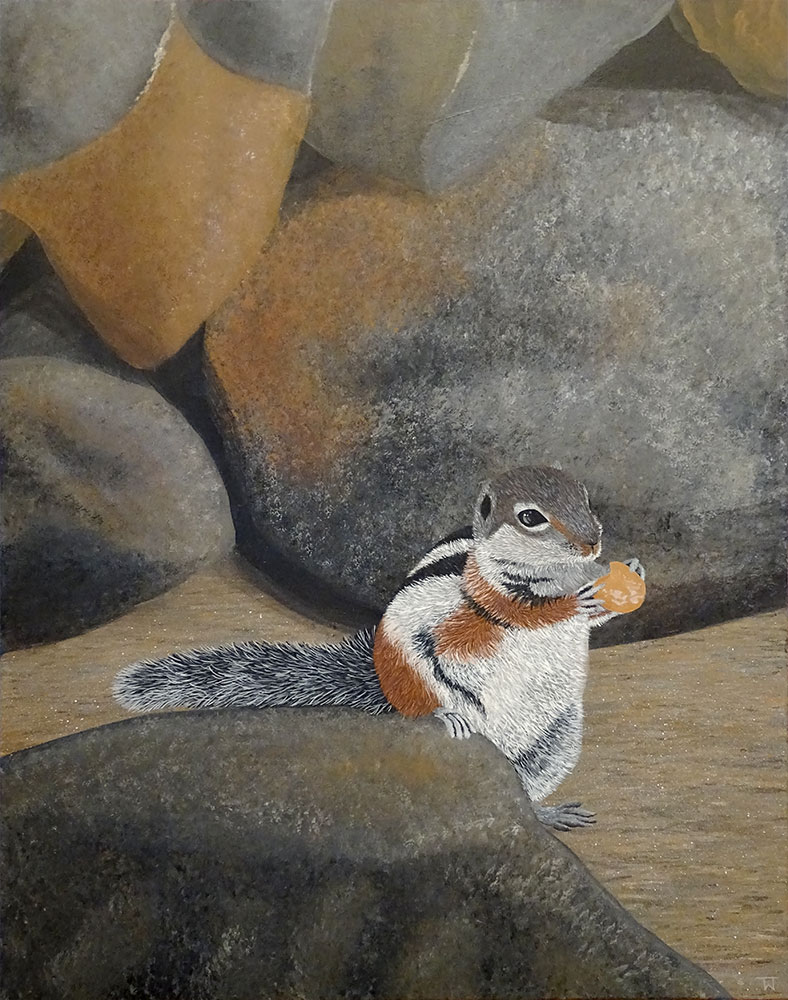 tiere_streifenhoernchen